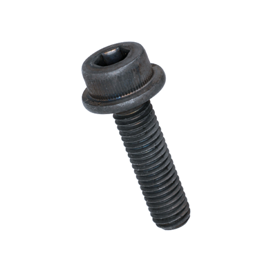 Happy Hexagon Socket Head Screw (M4)